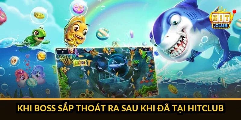 Năm tình huống tối ưu sử dụng bom trong bắn cá Hitclub
