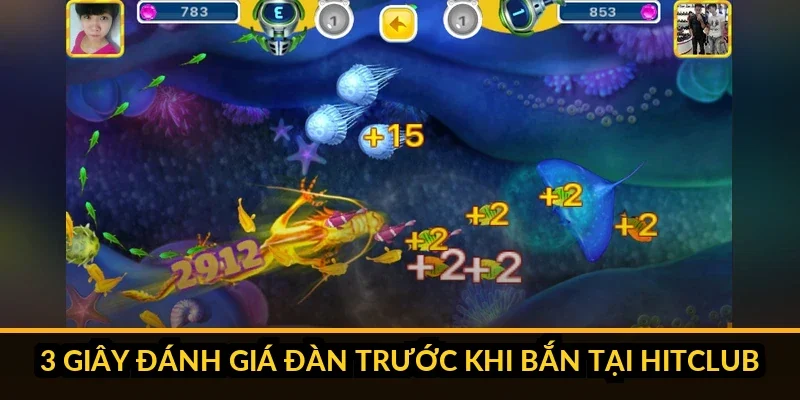 Checklist 3 giây đánh giá chất lượng đàn cá Hitclub